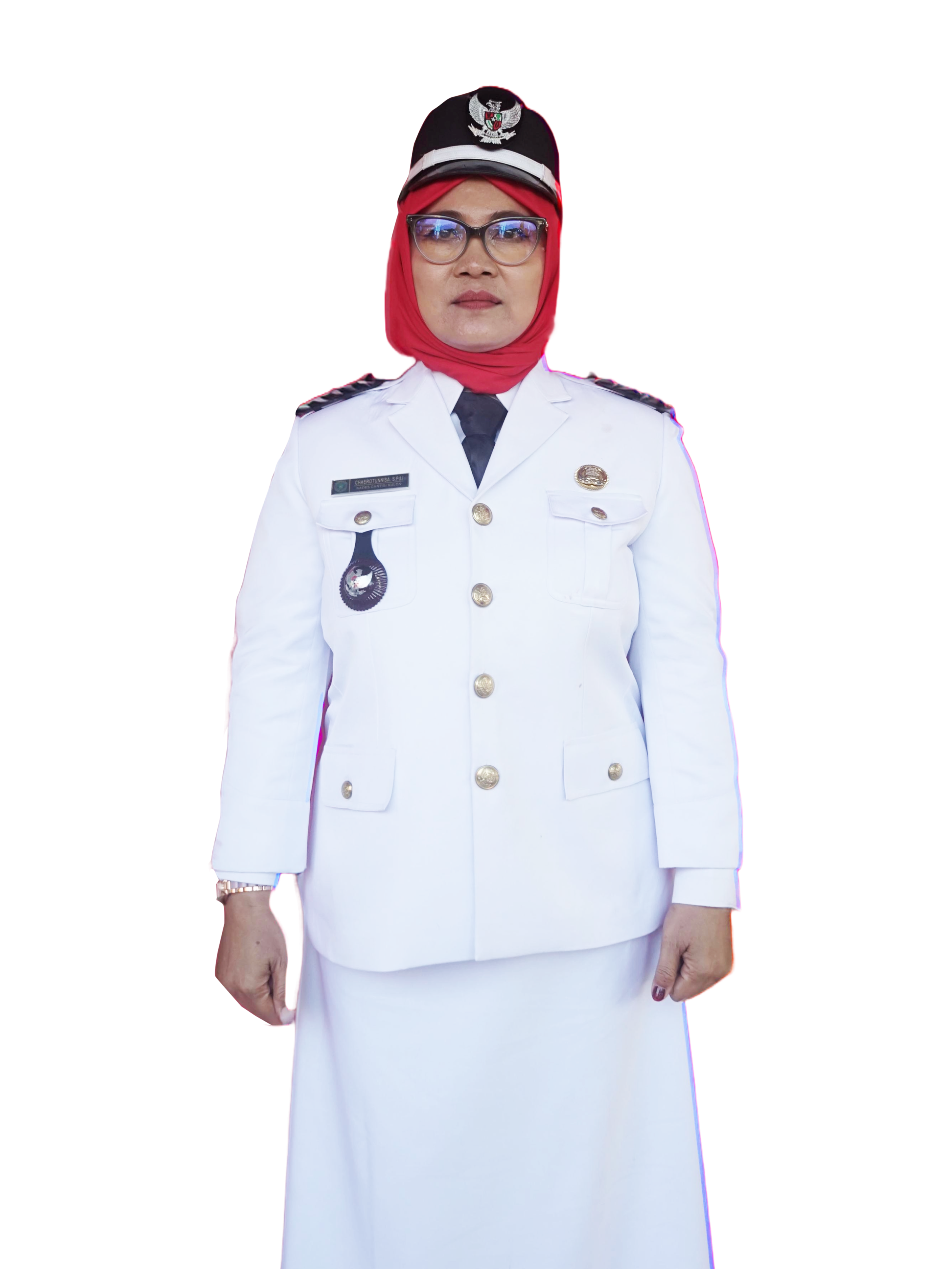 Kepala Desa