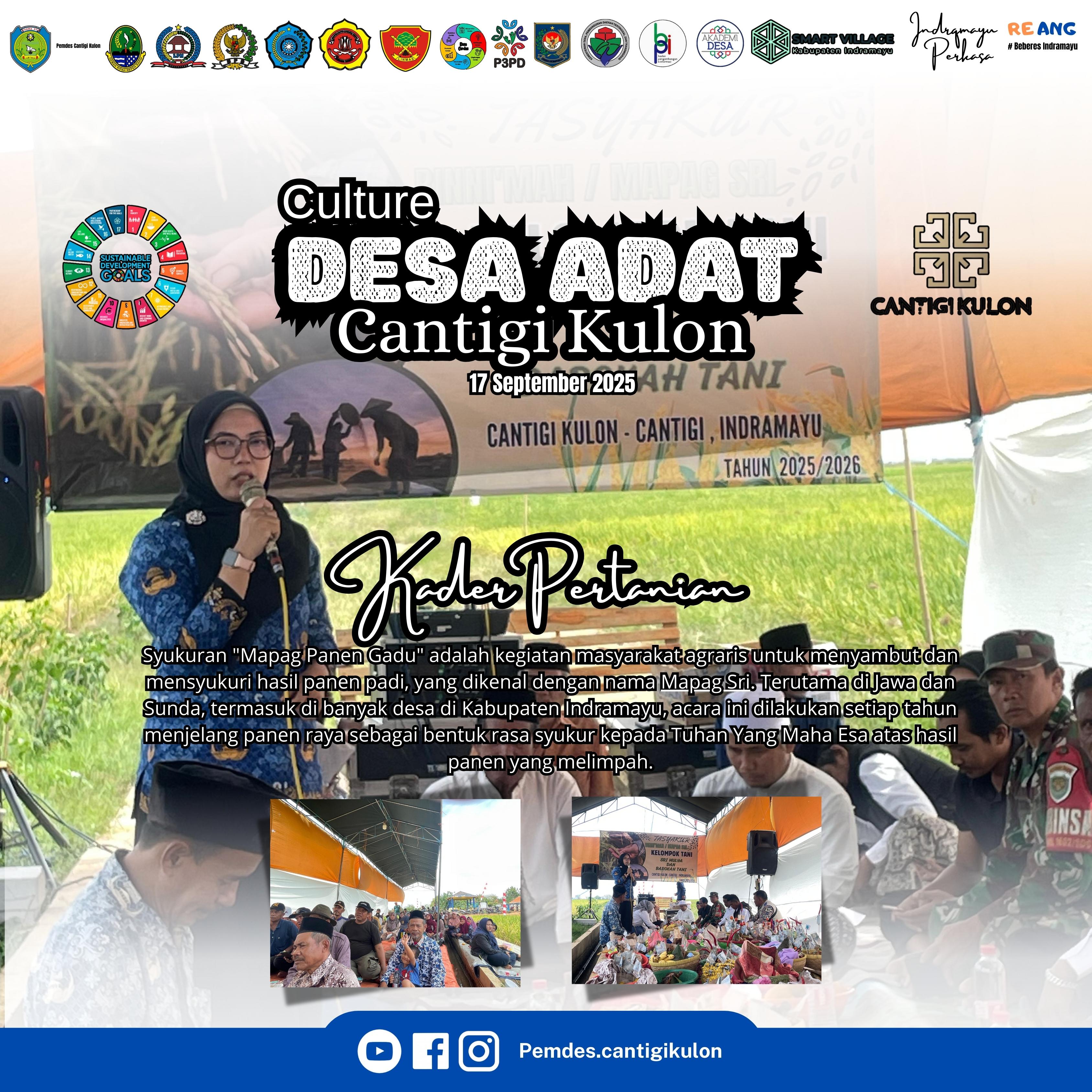 CULTURE DESA ADAT CANTIGI KULON MAPAG "PANEN GADU"