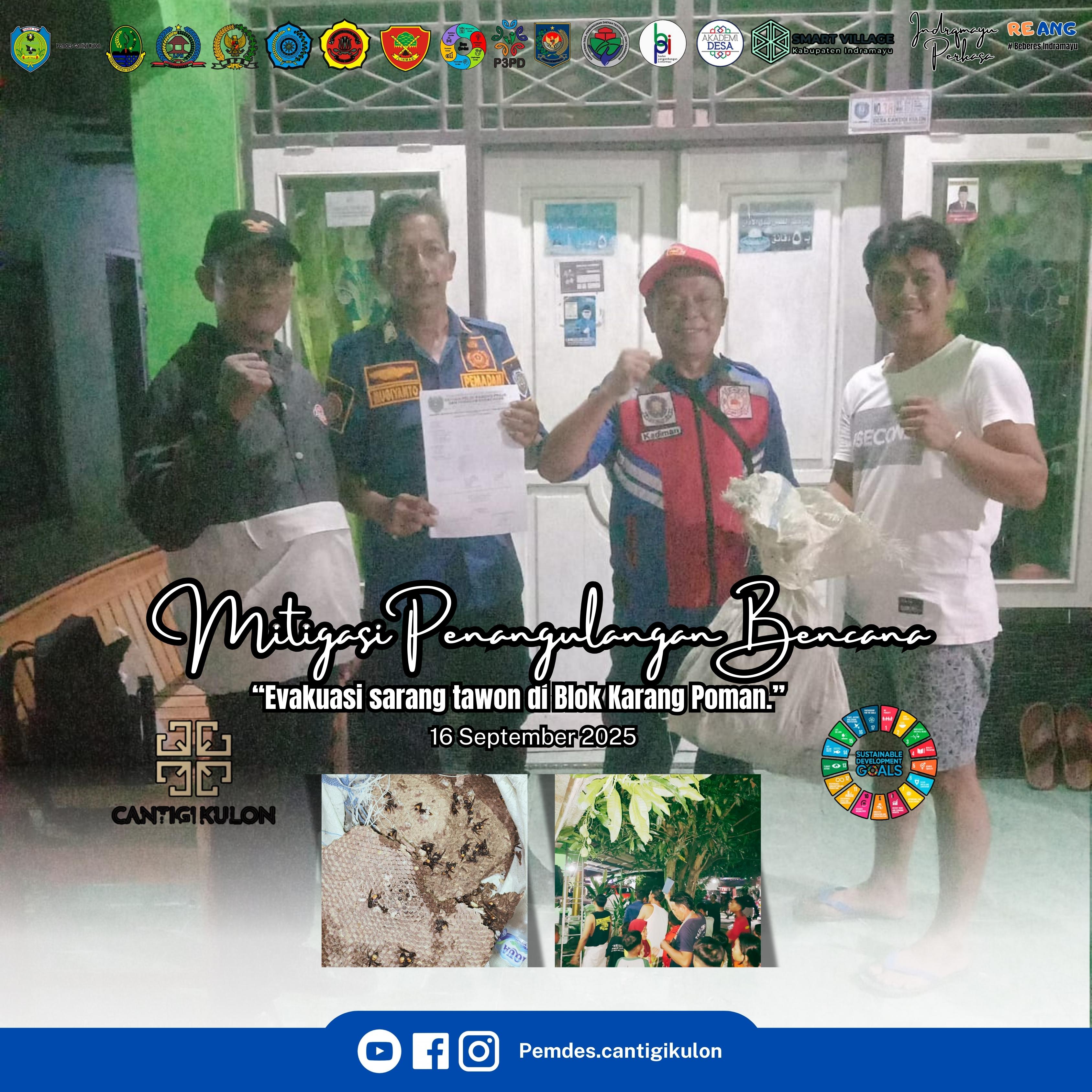 EVAKUASI SARANG TAWON DI BLOK KARANG POMAN